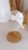 D0A5D633-D60A-4B50-AA3B-9C39FC2A1B03.jpeg