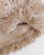 IMG_1027.png